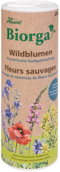 Produktbild Hauert Wildblumen Kunterbunte Saatgutmischung (Blumensamen)