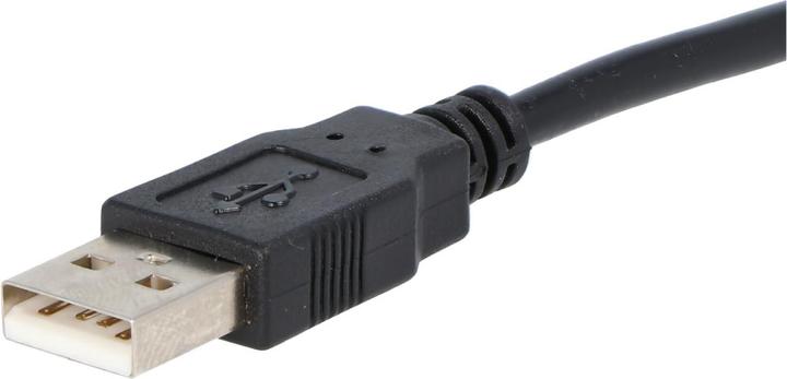 Actual product image AccuCell USB 2.0 Hi-Speed cable, USB to USB mini plug (USB, 15 cm)
