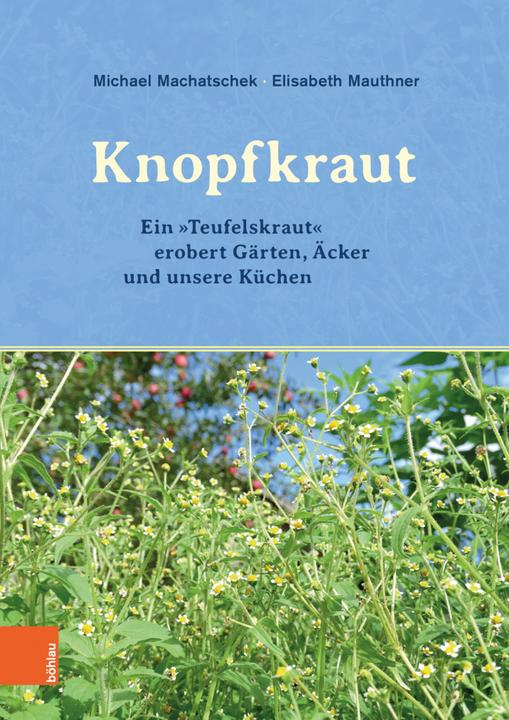 Produktbild Das Knopfkraut (Deutsch, Elisabeth Mauthner, Michael Machatschek, 2018)