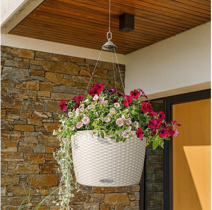 Image du produit Lechuza Nagendra (35 x 23 cm)