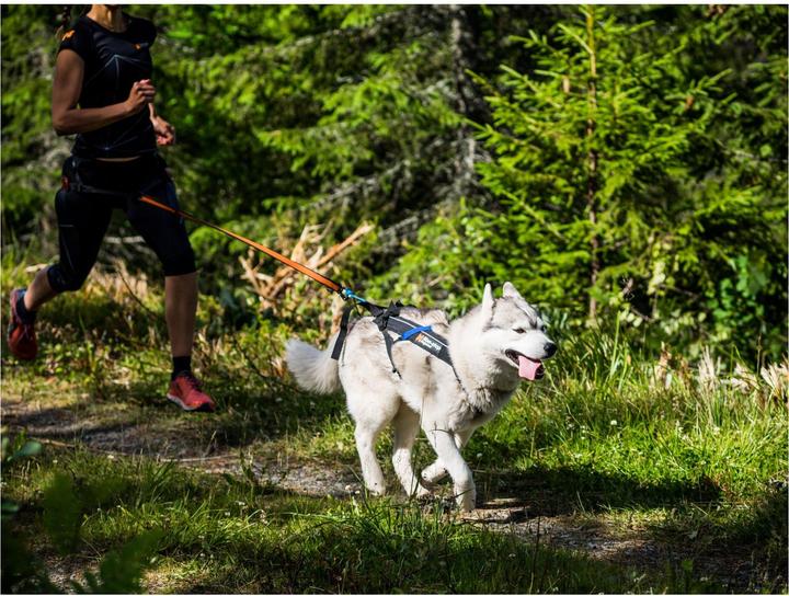 Produktbild Non-Stop Dogwear Freemotion Harness (4, Hund, Spazieren)