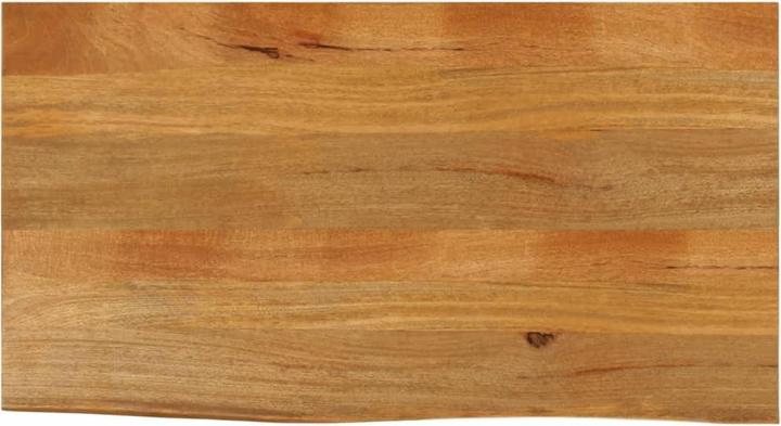 Produktbild vidaXL Tischplatte (100 x 60 cm)