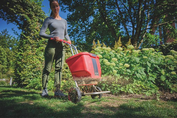 Image du produit Einhell Elektrohobel TE-SP 330 S