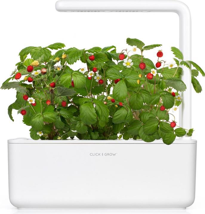 Click and Grow Smart Garden 3 (31.50 cm)