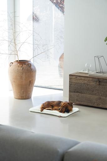 Productafbeelding Designed by Lotte Nalino (Hond)