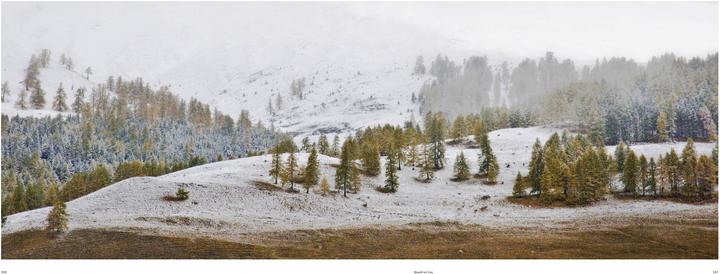 Produktbild Stille Magie der Alpen The Alps Compelling Silence (Deutsch, Markus Gisler, 2017)