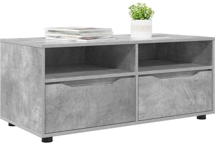 Actual product image vidaXL TV-Schränk (48 x 100 x 43 cm)