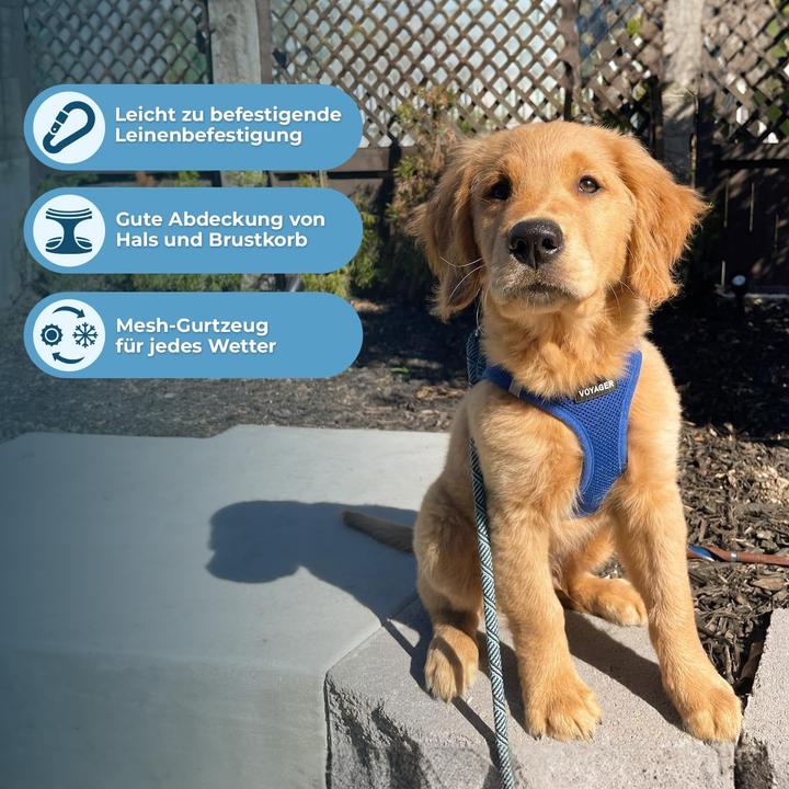 Actual product image Voyager Step-In Air Hundegeschirr (XS, Dog)