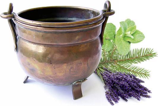 Image du produit Sentiotec Concentré de parfum pour sauna Mélange d'herbes 100ml