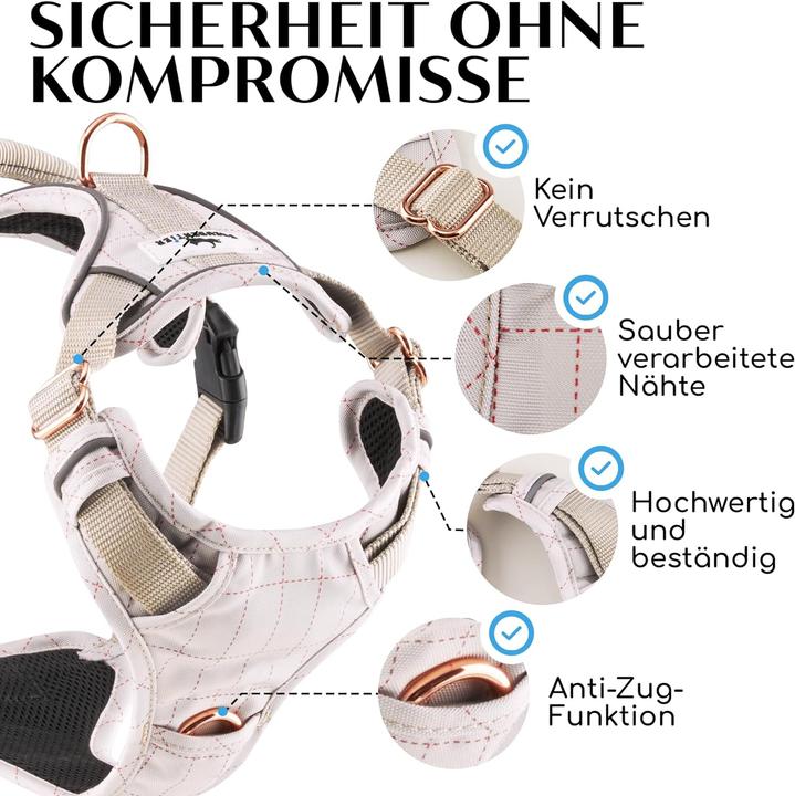 Actual product image Freudentier Clyde (S, Dog, General)