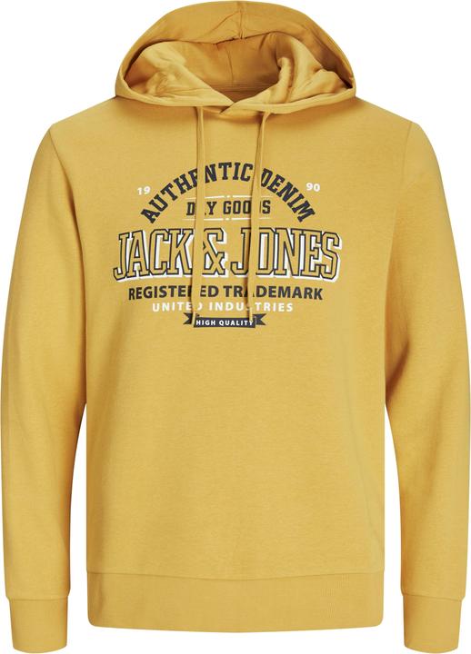 Produktbild Jack & Jones JJELOGO SWEAT HOOD 2 COL 24/25 NOOS (M)