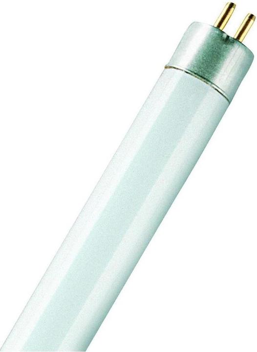 Produktbild Osram Leuchtstofflampe (G5, 6 W, 320 lm, 1 x, G)