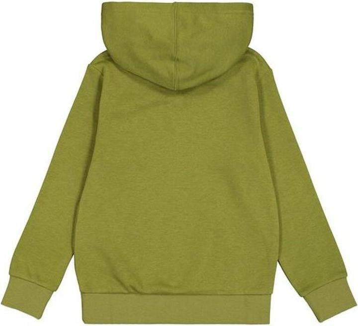 Produktbild Champion Herren Sweater mit Kapuze grün (L)