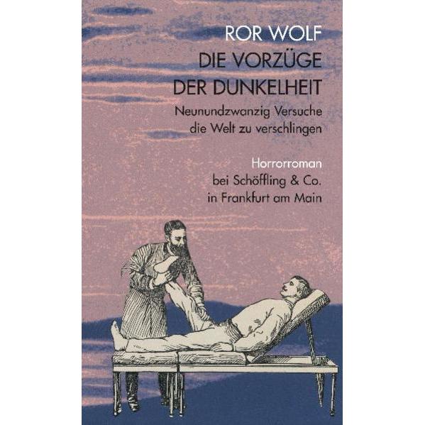 Die Vorzüge der Dunkelheit, Belletristik von Ror Wolf