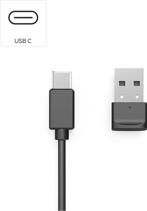 Actual product image Hama BT-800 (Cable, Wireless, USB-C)