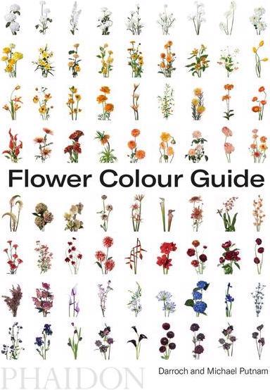 Produktbild Flower Colour Guide (Englisch, Darroch Putnam, Michael Putnam, 2018)