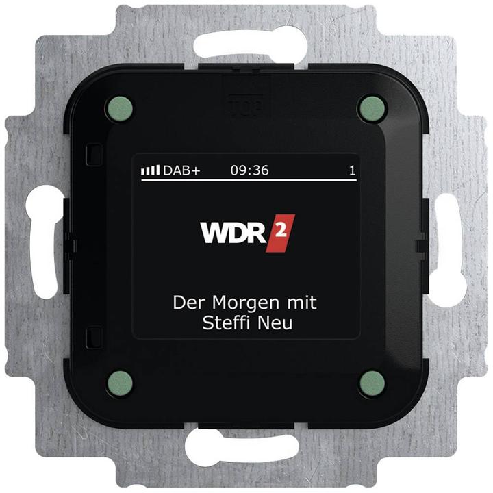 Produktbild Busch-Jaeger Busch-Radio DAB+ (DAB+)