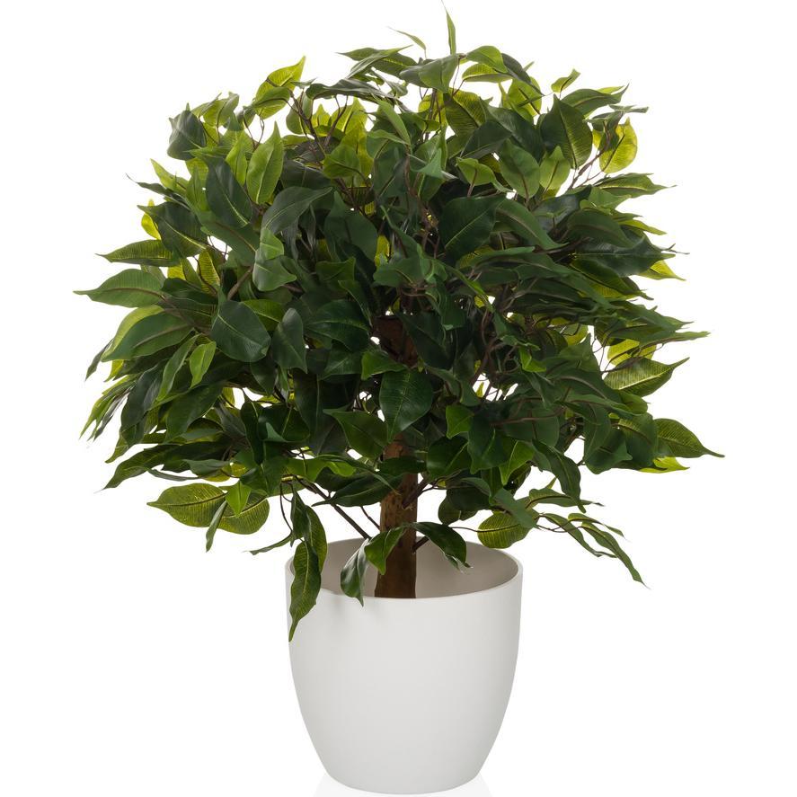 Hjh Office, Kunstpflanzen, Ficus Ii (65 cm)