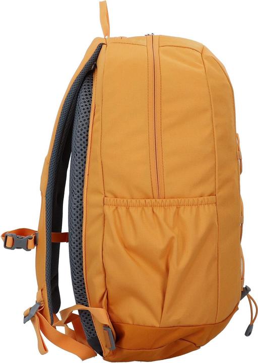 Actual product image Deuter Gogo (25 l)