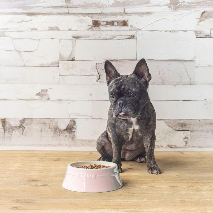 Produktbild Staub Haustiernapf (40 cl)