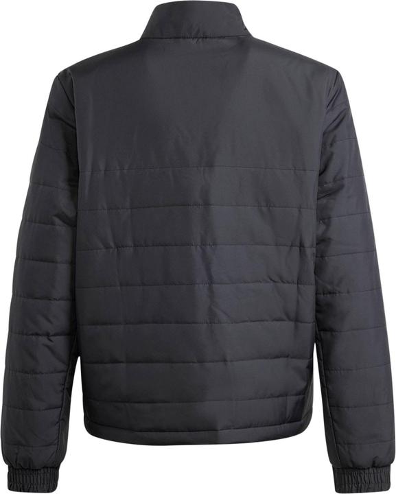 Actual product image Adidas Entrada 22 Jacket Kids (176)