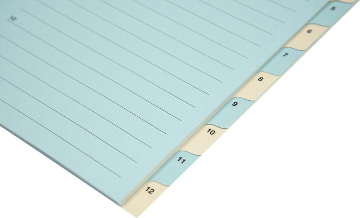 Immagine prodotto Biella Registro Cartone colorato