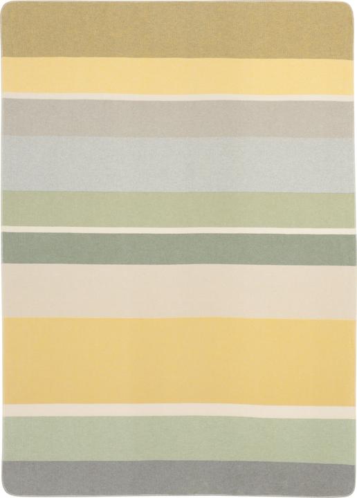 Biederlack Wohndecke Stripe Delight grün (200 x 150 cm)
