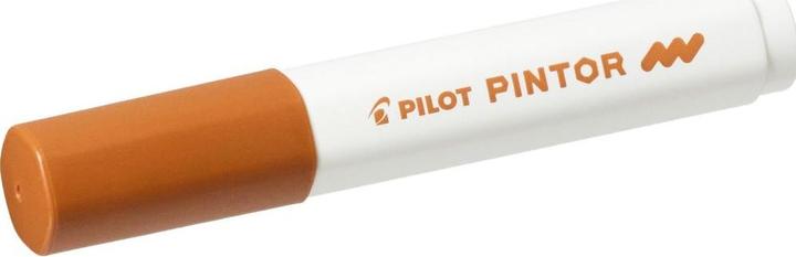 Immagine prodotto Pilot Pintor Medio