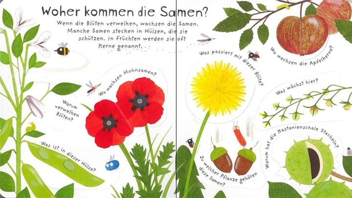 Produktbild Erstes Aufklappen und Verstehen: Warum blühen Blumen? (Deutsch, Katie Daynes, 2017)
