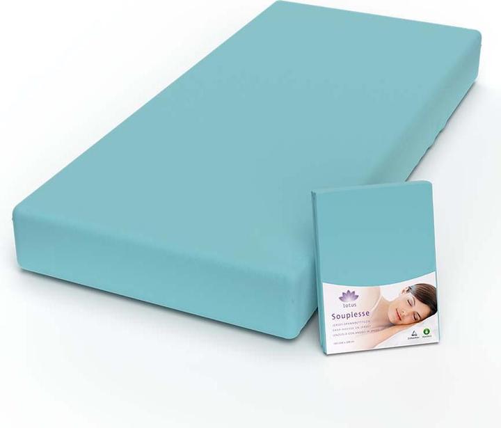 Immagine prodotto Lotus Bettwaren Lenzuolo matrimoniale in jersey Souplesse (90 x 190 cm, 100 x 200 cm, 90 x 200 cm)