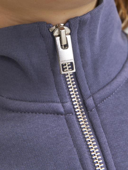 Image du produit Jack & Jones Imprimé Sweatshirt avec fermeture éclair Pour les garçons Sweatshirt avec fermeture éclair (176)