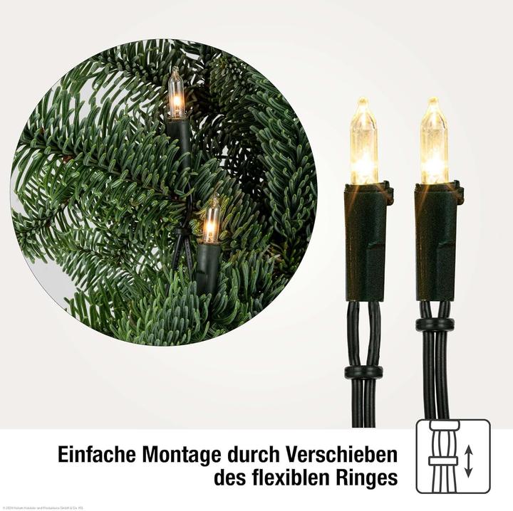 Hellum Mini Pisello Lichterkette mit 100 LEDs (16.35 m)