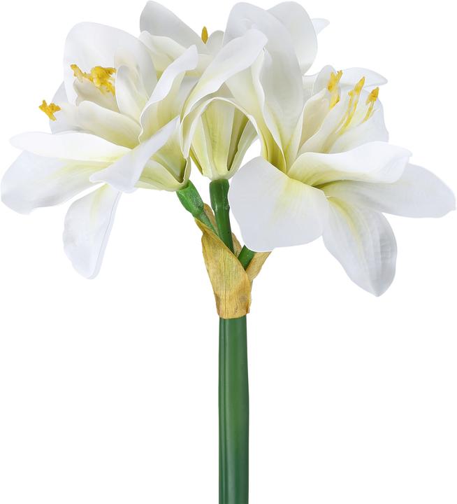Produktbild EGLO LIVING Molave (63 cm)