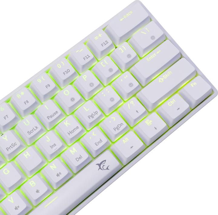 Produktbild White Shark GK-004221 Shinobi-2 Blue switch, White US (US, Kabelgebunden)