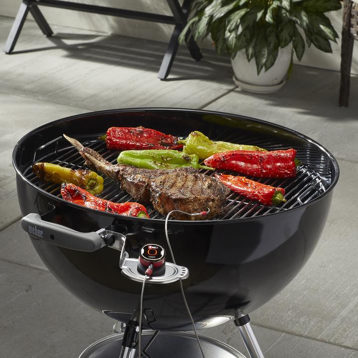 Actual product image Weber iGrill mini