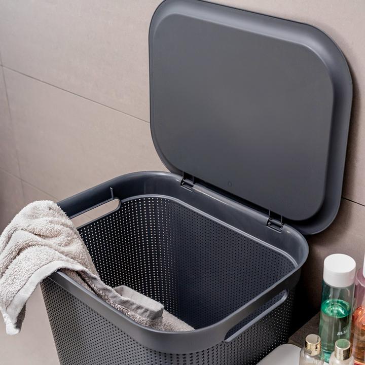 Immagine prodotto Rotho Breezes 1 (50 l)