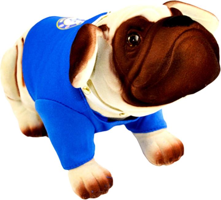 Produktbild Chelsea FC Fussball Club Wackel Hund
