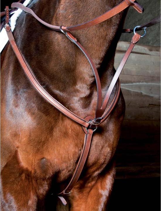 Image du produit TdeT Collier de chasse pour cheval doublé