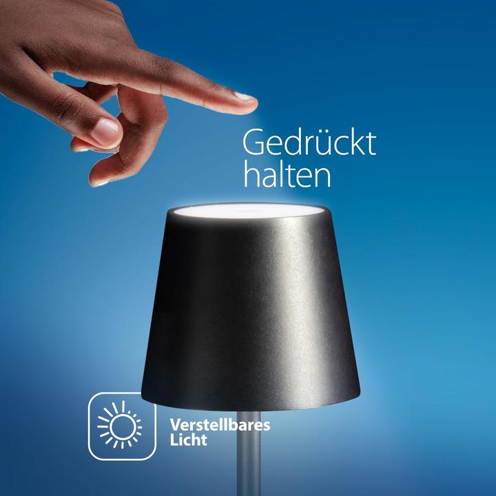 Actual product image Securit FELINE - table lamp