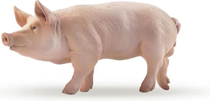 Image du produit Papo Sanglier