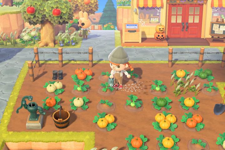 Immagine prodotto Nintendo ​ Switch Lite - Animal Crossing New Horisons Bundle - Coral