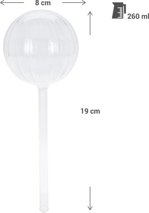 Actual product image Vilde Set of 4 glass watering balls, 2 sizes (Irrigation balls)