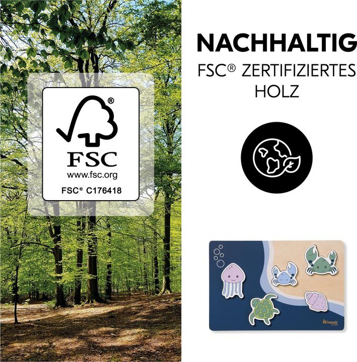 Actual product image Hauck Sea