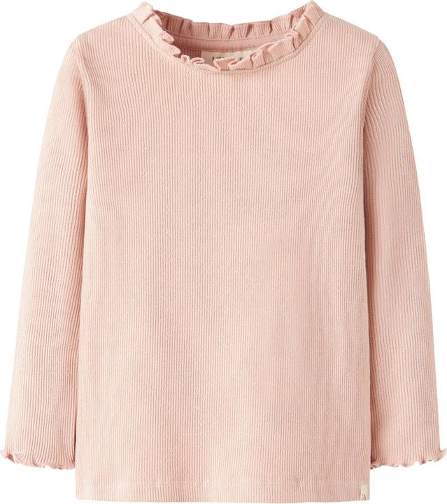 Cameo Rose