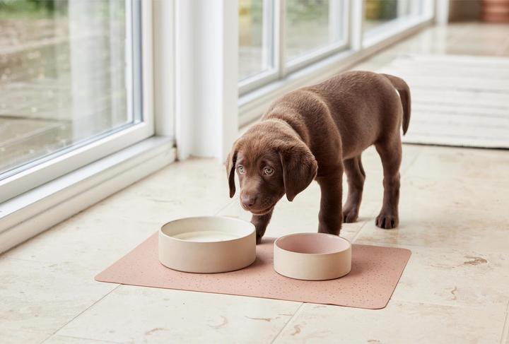 Immagine prodotto OYOY Zoo Ciotola in ceramica Sia L, Ø 19,5 x H 6,5 cm, Rosa (0.40 l)