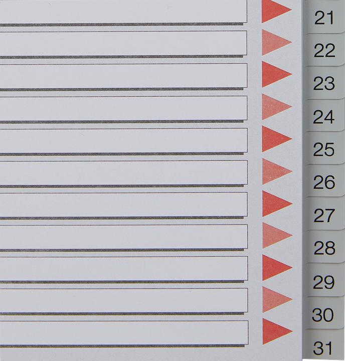 Actual product image Leitz Esselte plastic registers, numbers, A4, 1-31, grey 31-part, PP, 0,12 mm, with writable coverb