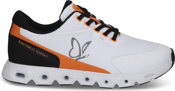 White/Orange