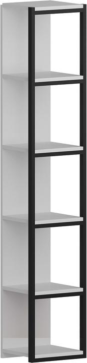 Schwarz, White
