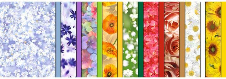 Produktbild Ursus Transparentpapier Flora A4, 115 g/m², 18 Stück, Mehrfarbig (A4, 115 g/m²)