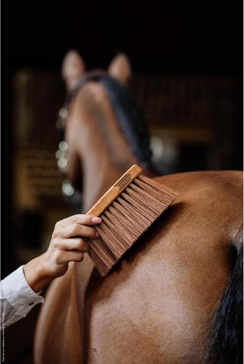 Produktbild Grooming Deluxe Middle Brush medium